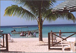 Negril Beach at Mama Flo's, Jamaica